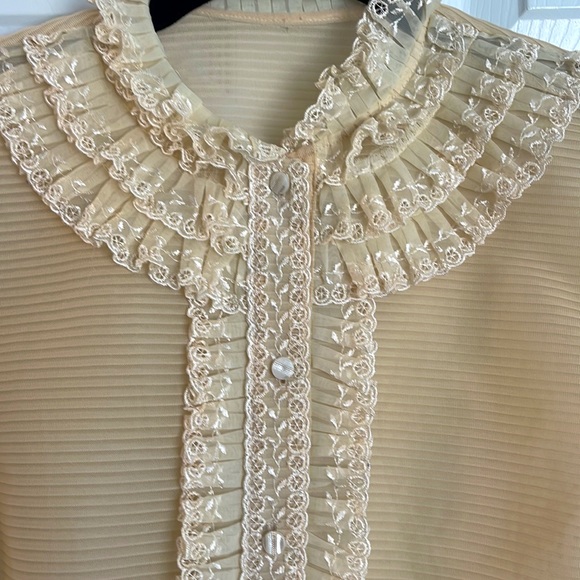 Gorgeous sheer ruffle front blouse - Picture 2 of 3